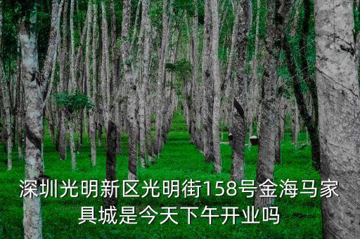 深圳光明新區光明街158號金海馬家具城是今天下午開業嗎