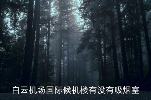 白云機(jī)場(chǎng)國際候機(jī)樓有沒有吸煙室