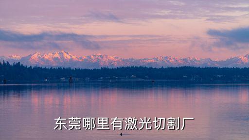 東莞銳興激光切割加工廠，東莞哪里有激光切割廠