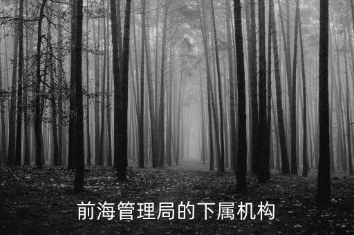 深圳前海高斯頓投資控股有限公司，深圳前海普林斯頓投資基金管理有限公司怎么樣