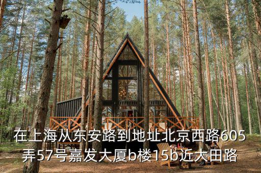 上海市華京路1號，上海淳華科技公司在哪兒