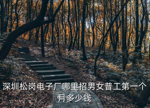 深圳松崗電子廠哪里招男女普工第一個月多少錢