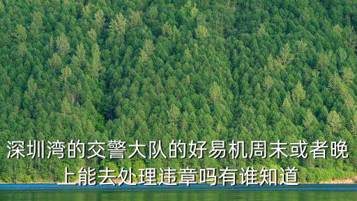 深圳灣的交警大隊的好易機周末或者晚上能去處理違章嗎有誰知道