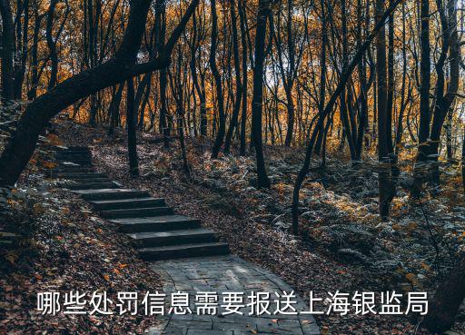 哪些處罰信息需要報(bào)送上海銀監(jiān)局