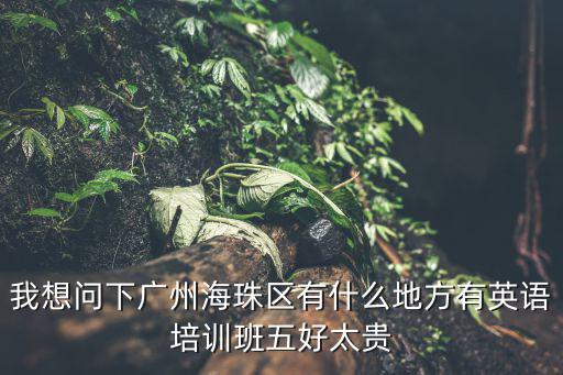 我想問下廣州海珠區有什么地方有英語培訓班五好太貴
