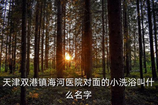 天津雙港鎮海河醫院對面的小洗浴叫什么名字