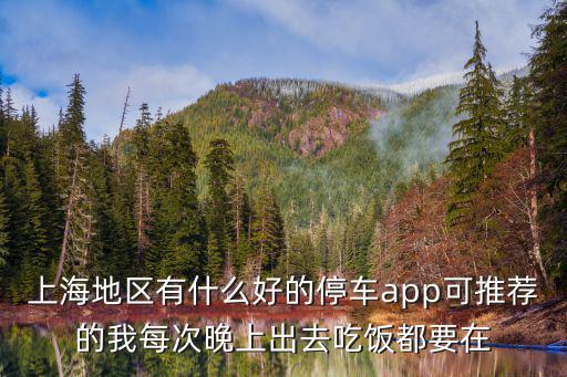 上海地區有什么好的停車app可推薦的我每次晚上出去吃飯都要在