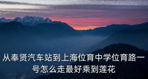 從奉賢汽車站到上海位育中學位育路一號怎么走最好乘到蓮花