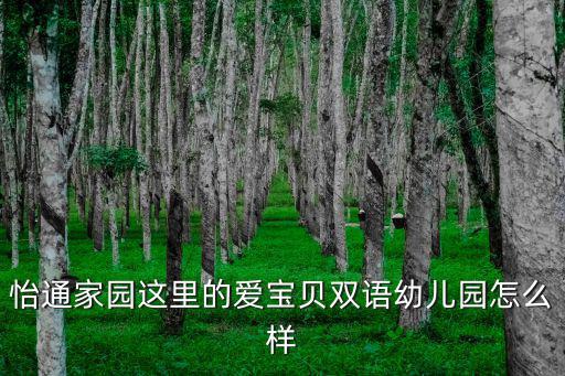怡通家園這里的愛寶貝雙語幼兒園怎么樣