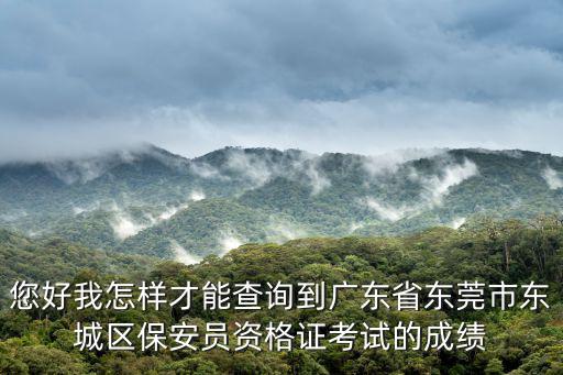 您好我怎樣才能查詢到廣東省東莞市東城區保安員資格證考試的成績