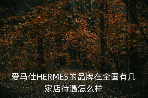 廣州愛馬仕待遇怎么樣，愛馬仕的福利待遇怎么樣