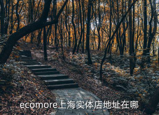 ecomore上海實體店地址在哪