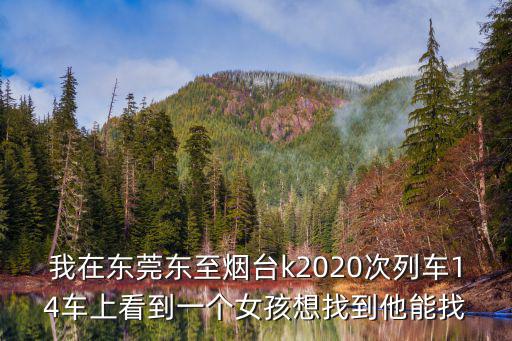 我在東莞東至煙臺(tái)k2020次列車(chē)14車(chē)上看到一個(gè)女孩想找到他能找