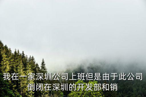 我在一家深圳公司上班但是由于此公司倒閉在深圳的開發(fā)部和銷
