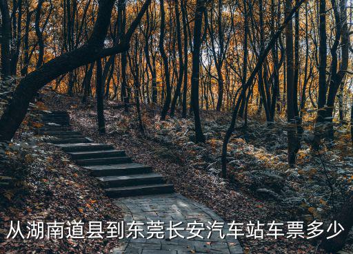 從湖南道縣到東莞長安汽車站車票多少