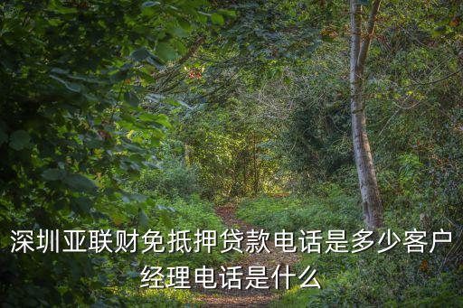 深圳亞聯財免抵押貸款電話是多少客戶經理電話是什么