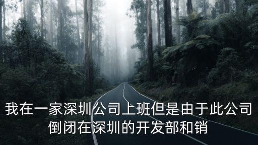 我在一家深圳公司上班但是由于此公司倒閉在深圳的開發(fā)部和銷