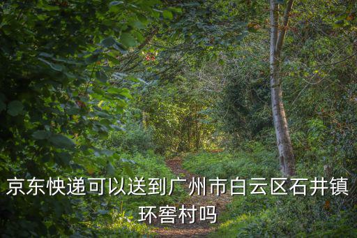 京東怏遞可以送到廣州市白云區石井鎮環窖村嗎