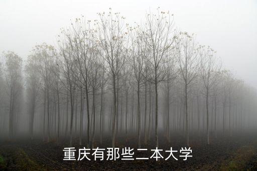 重慶市二批次大學，重慶市有哪些二類本科大學