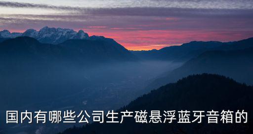 國內有哪些公司生產磁懸浮藍牙音箱的