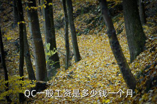 QC一般工資是多少錢一個月
