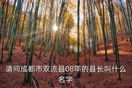 請問成都市雙流縣08年的縣長叫什么名字