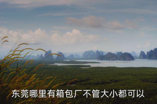 東莞哪里有箱包廠不管大小都可以
