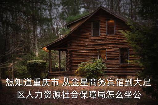 想知道重慶市 從金星商務賓館到大足區人力資源社會保障局怎么坐公