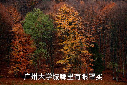 廣州大學城哪里有眼罩買
