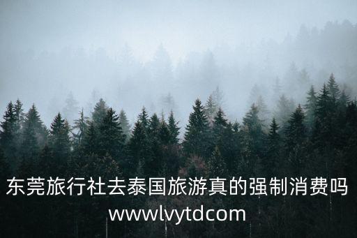 東莞旅行社去泰國旅游真的強制消費嗎wwwlvytdcom