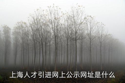 上海人才引進網上公示網址是什么