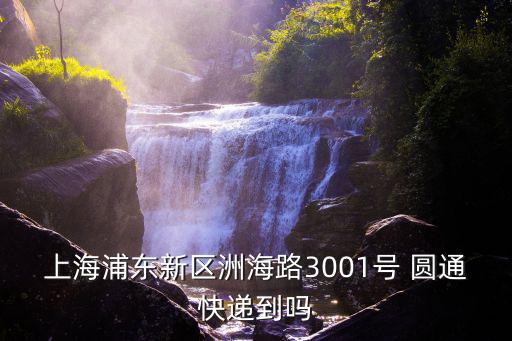 上海市浦東圓通，上海浦東新區(qū)洲海路3001號 圓通快遞到嗎