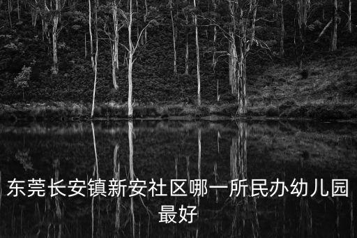 東莞長安鎮新安社區哪一所民辦幼兒園最好