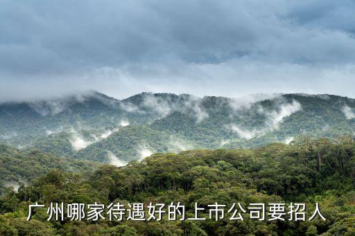 廣州哪家待遇好的上市公司要招人