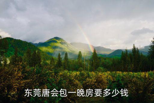 東莞唐會包一晚房要多少錢
