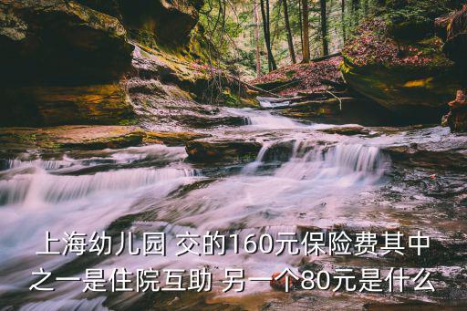 上海幼兒園 交的160元保險費其中之一是住院互助 另一個80元是什么