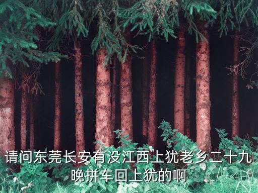請問東莞長安有沒江西上猶老鄉(xiāng)二十九晚拼車回上猶的啊