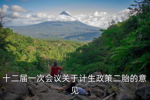 十二屆一次會議關于計生政策二胎的意見