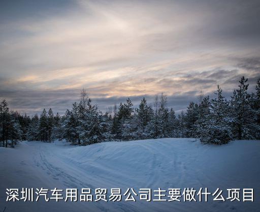 深圳汽車用品貿易公司主要做什么項目