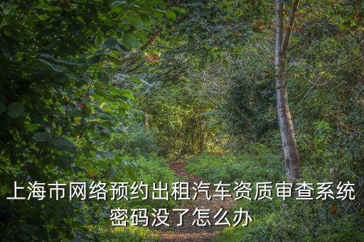 上海市網絡預約出租汽車資質審查系統密碼沒了怎么辦