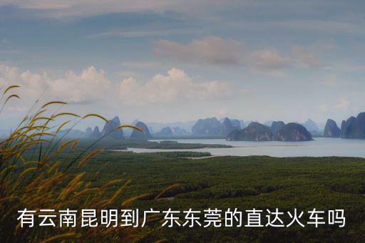 有云南昆明到廣東東莞的直達火車嗎