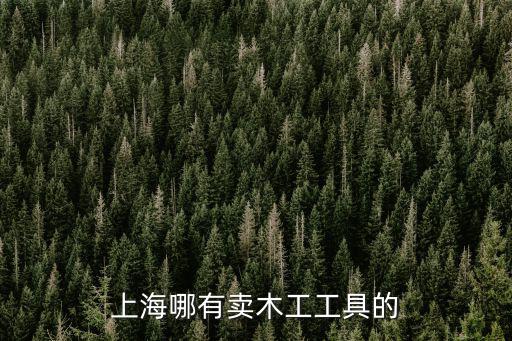 上海哪有賣木工工具的