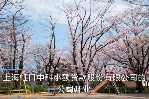 上海市虹口區委副書記 洪流，上海虹口中科小額貸款股份有限公司的公司開業
