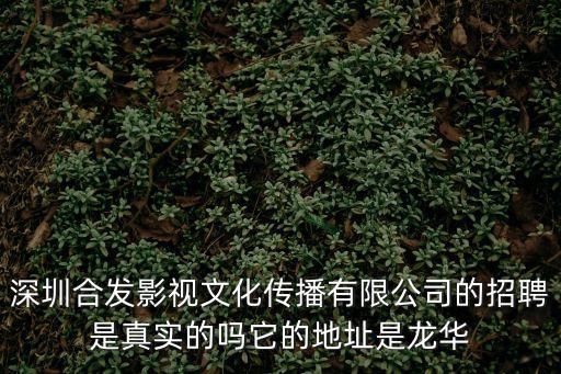 深圳宏灝監控有限公司，深圳哪個公司車載定位監控GPS做得最專業