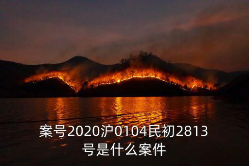 案號2020滬0104民初2813號是什么案件