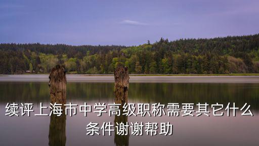 上海市新晉中小學正高職稱，續評上海市中學高級職稱需要其它什么條件謝謝幫助