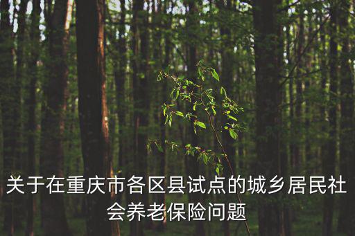 關(guān)于在重慶市各區(qū)縣試點(diǎn)的城鄉(xiāng)居民社會(huì)養(yǎng)老保險(xiǎn)問(wèn)題