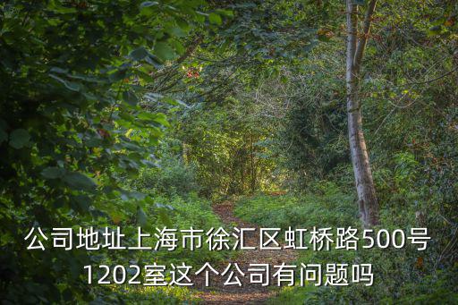 公司地址上海市徐匯區虹橋路500號1202室這個公司有問題嗎