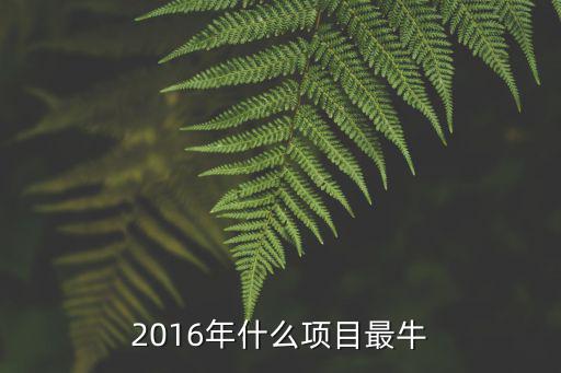 2016年什么項目最牛