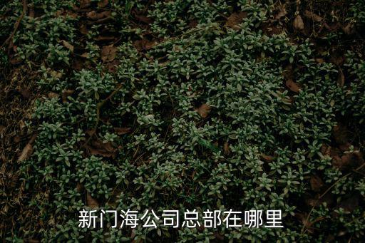 深圳門海實業有限公司，中法合資深圳市星化妝品有限公司生產的孜名貴北海深海珍珠粉是真的